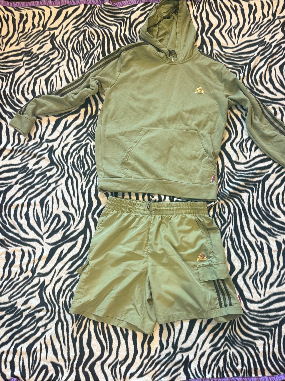 Adidas Sweatshirt and Shorts Set